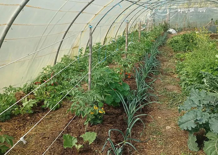 Bed & Breakfast Quadruple Dans Ferme Provencale